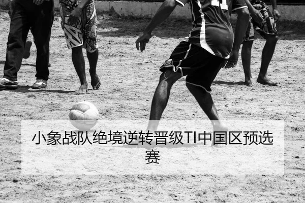 小象战队绝境逆转晋级TI中国区预选赛